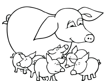 440x330 Cute Baby Pig Coloring Pages Coloring Pages Of Baby Pigs Three
