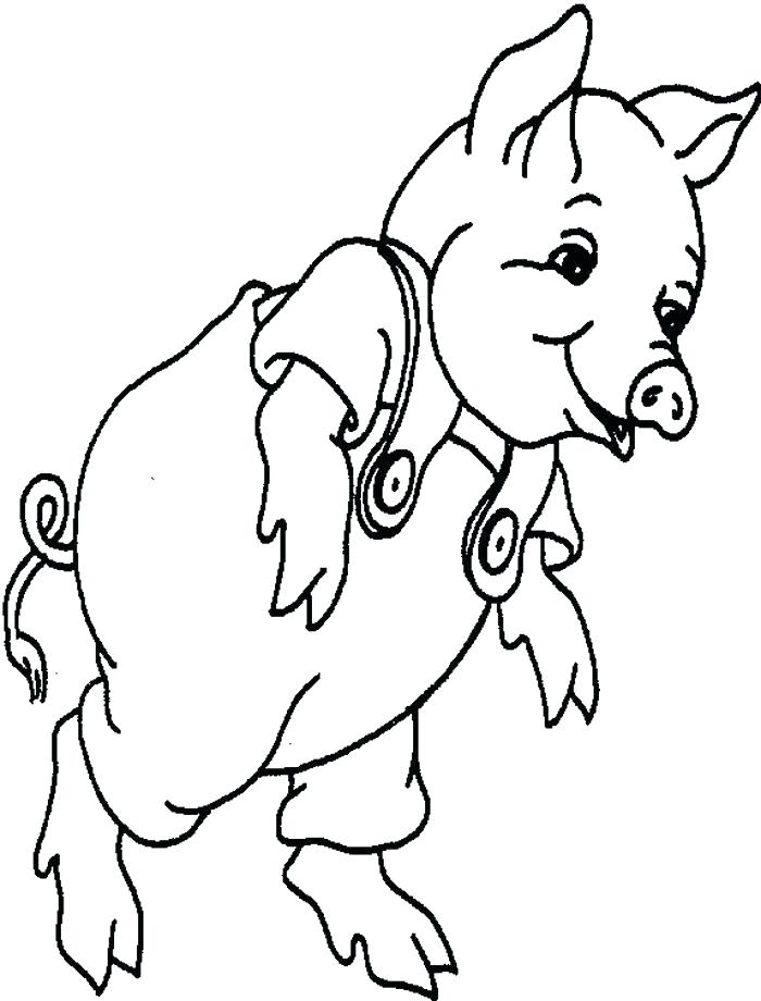700x920 Guinea Pig Coloring Pages Baby Pig Coloring Pages Cute Baby Pig