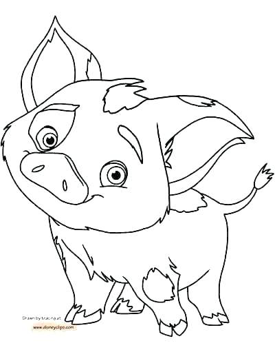 400x511 Guinea Pig Coloring Page