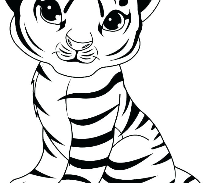 678x600 Tigers Coloring Pages Tiger Tiger Coloring Page Cute Baby Tiger