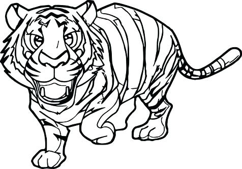 476x333 Baby Tiger Coloring Pictures Standing Tiger Coloring Page Free