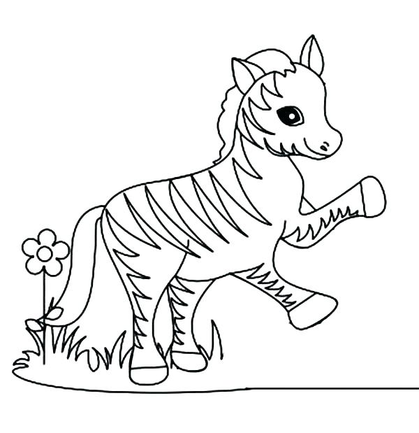 600x619 Baby Zebra Coloring Pages Zebra Color Sheet Z For Zebra Coloring