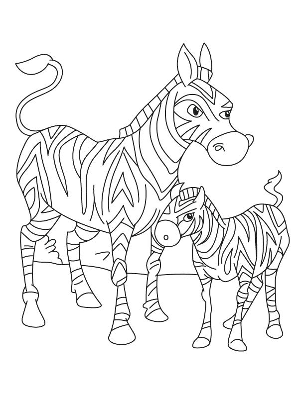 612x792 Baby Zebra Coloring Pages Zebra Mother Standing With Its Just Born