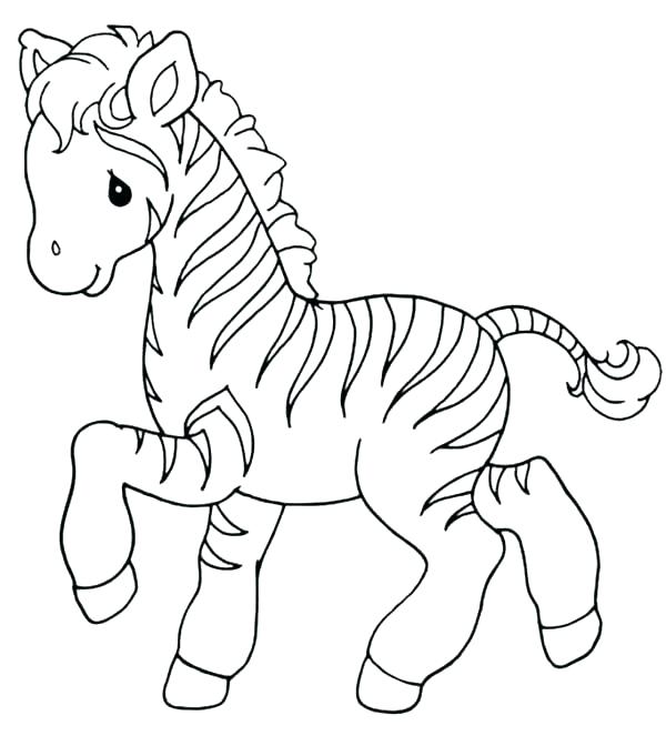 600x672 Coloring Page Of A Zebra Baby Zebra Coloring Pages Baby Zebra