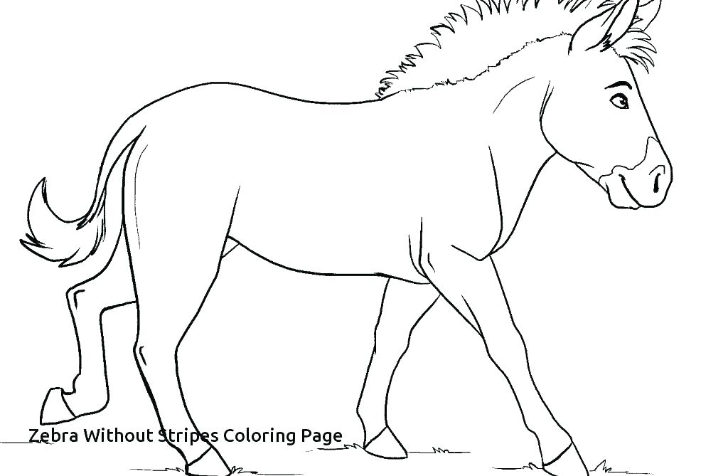 1024x669 Cute Zebra Coloring Pages Cute Zebra Coloring Sheets Kids Coloring