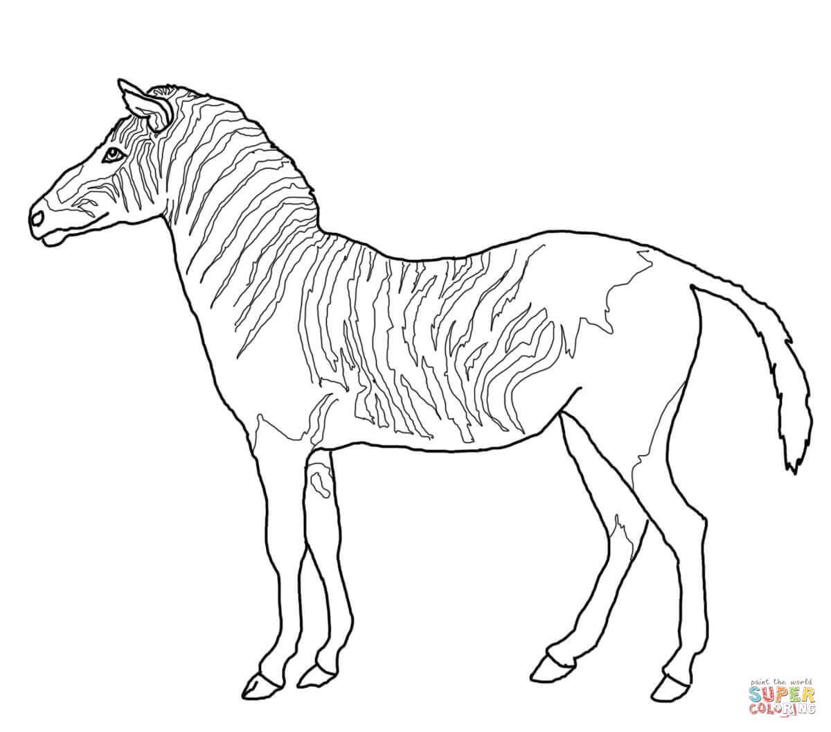 1200x1056 Informative Zebra Coloring Page Cute Pages Jov