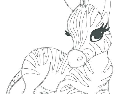 440x330 Zebra Print Coloring Pages Baby Zebra Coloring Pages Image Of Cute