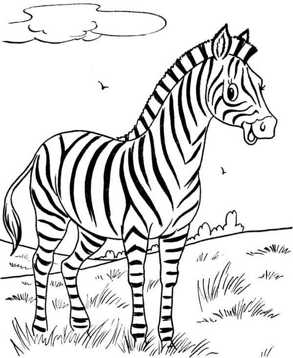 600x734 Cute Ba Zebra Cute Zebra Printable Coloring Pages Coloring Cute
