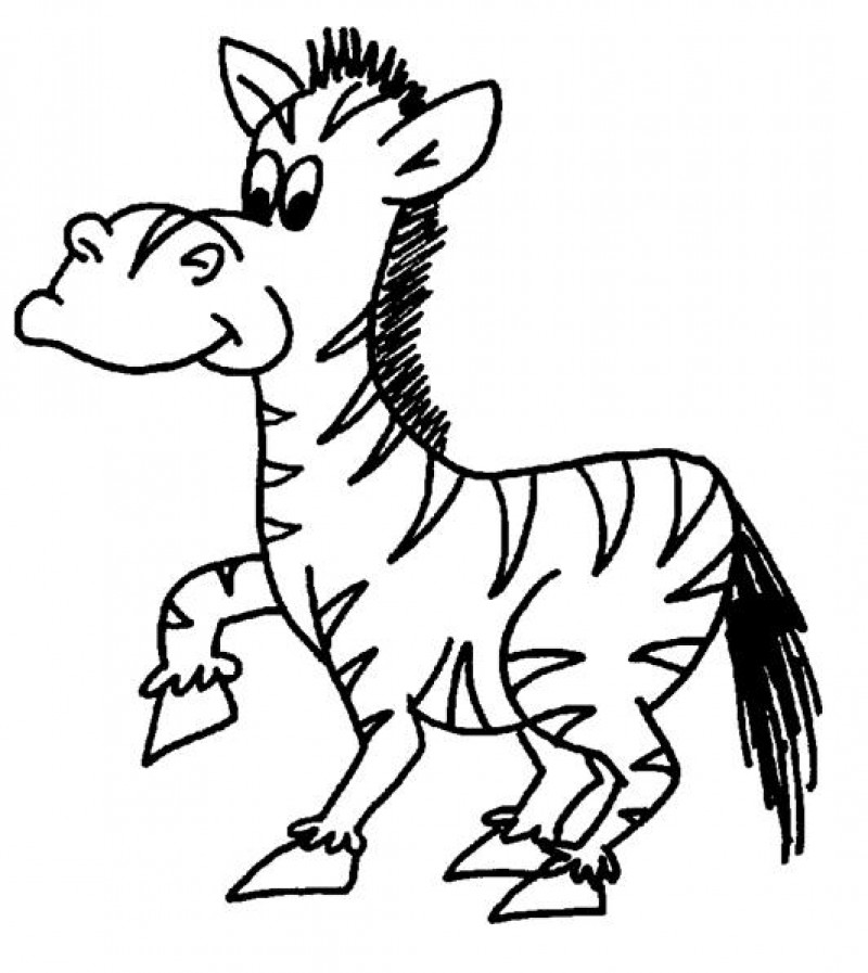 800x897 Cute Baby Zebra Colouring Pages