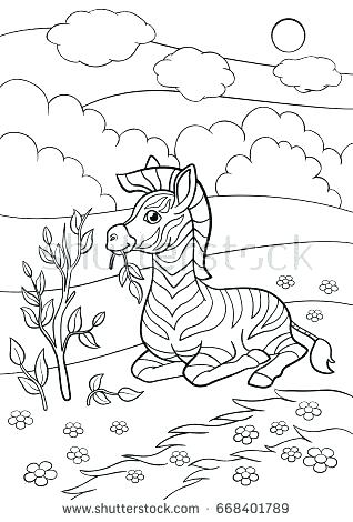 318x470 Baby Zebra Coloring Pages Coloring Pages Little Cute Baby Zebra