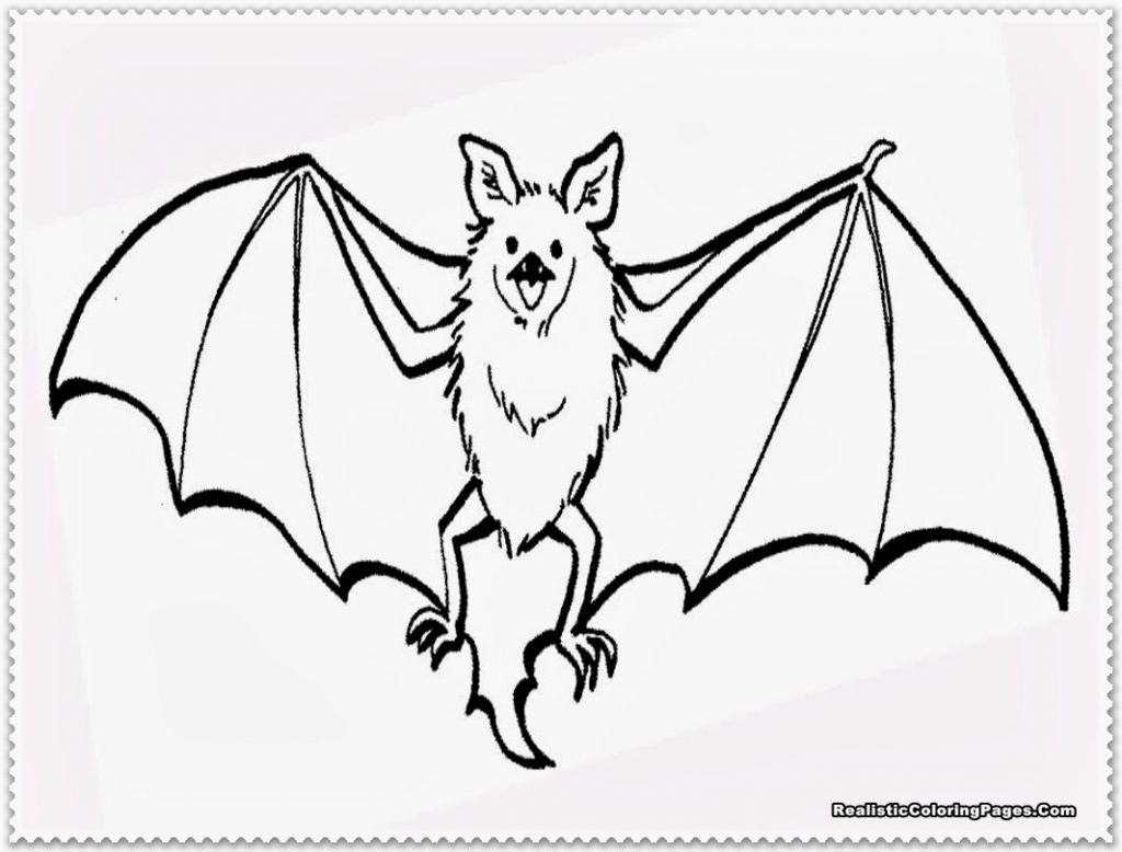 1024x778 Magnificentats Coloring Pages Alphabet For Kids Free Bats