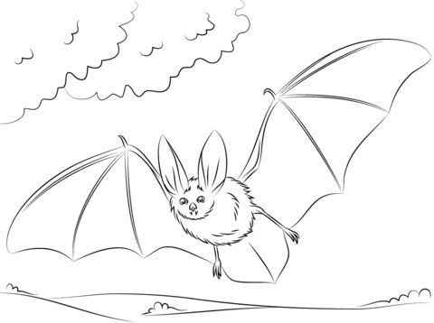 480x358 Bat Coloring Pages Free Printable Bat Coloring Pages Pata Sauti