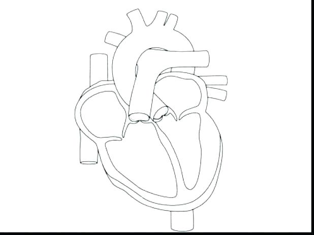 618x463 Cute Heart Coloring Pages Bear With Heart Coloring Page Cute Love