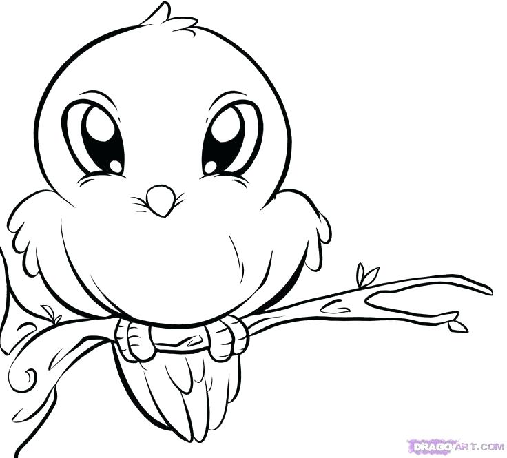 736x665 Top Coloring Pages Cute Coloring Pages Animals Trend Coloring
