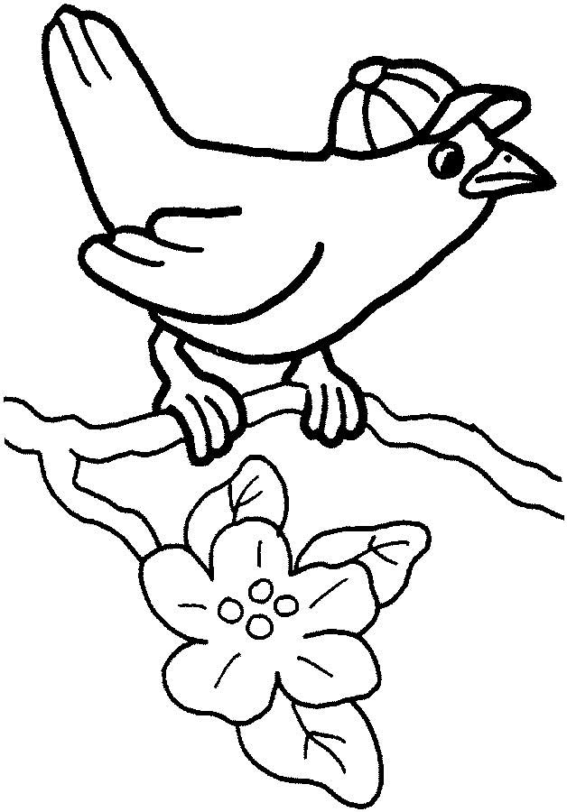 628x900 Cute Bird Coloring Page For Kids