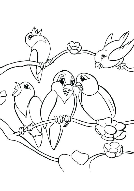 527x749 Cute Bird Coloring Pages Bird Color Page Coloring Pages Of Birds