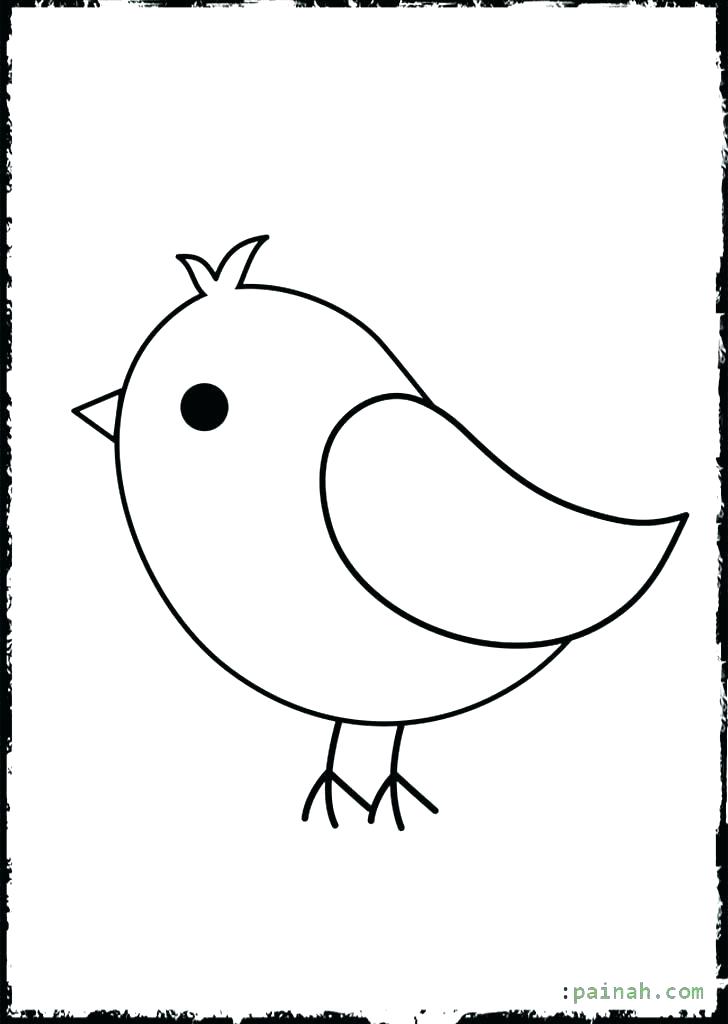 728x1024 Baby Bird Coloring Page Baby Bird Colouring Pages Cute Bird