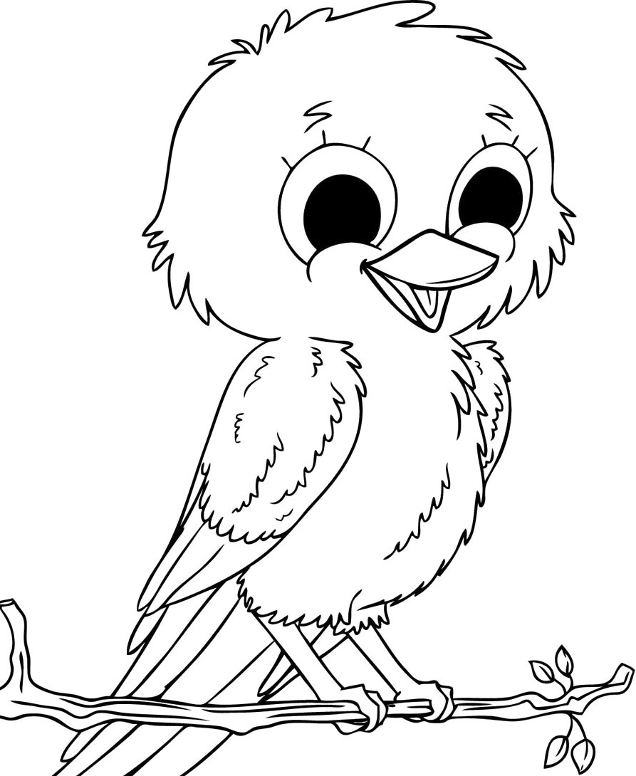 893x1090 Pictures Child Cute Birds Coloring For Kids Cute