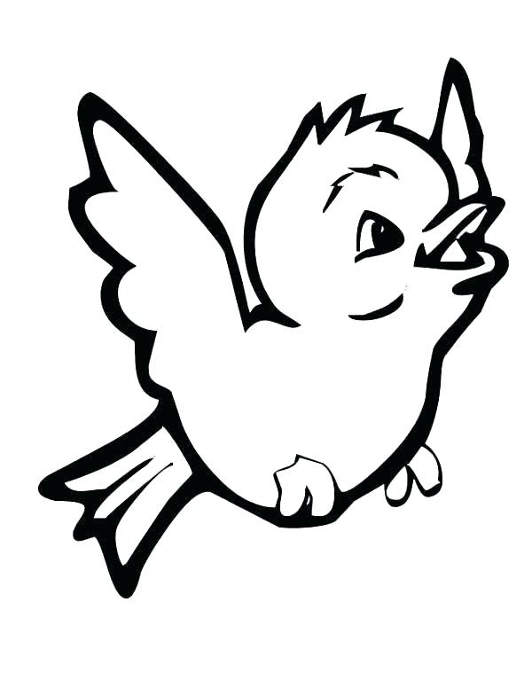 600x776 Baby Bird Coloring Page Bird Nest Coloring Page Baby Bird Coloring