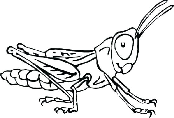 561x380 Coloring Bugs Bugs Coloring Pages Bugs Coloring Page Bugs Coloring