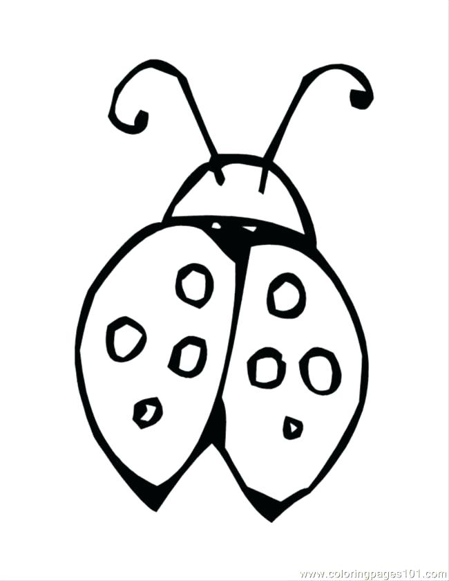 650x840 Cute Ladybug Coloring Pages Here Are Bug Coloring Page Pictures