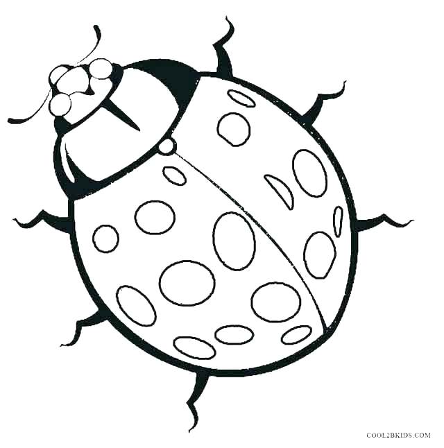 640x646 Lady Bug Coloring Sheet Delightful Ladybug Coloring Pages Print