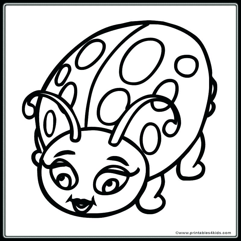 800x800 Ladybug Color Pages Lady Bug Coloring Pages New Ladybug Coloring