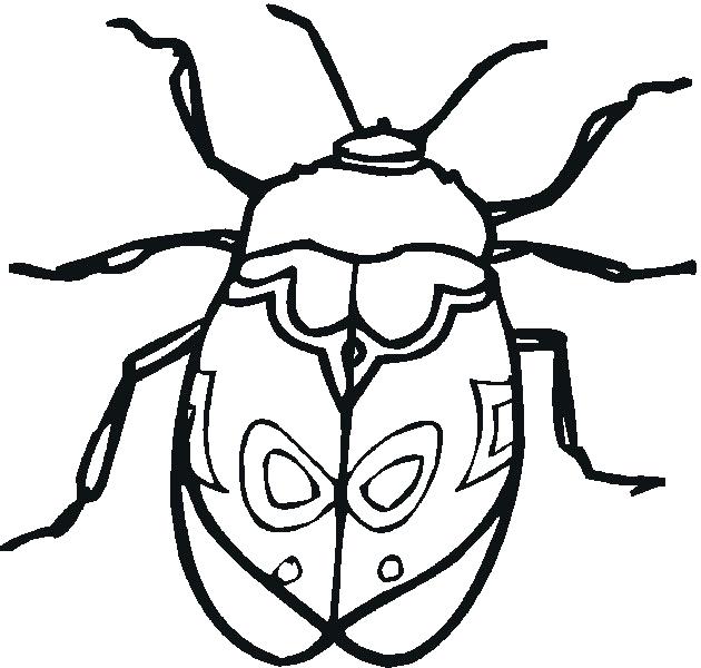 630x600 Unique Insect Coloring Pages And Cute Bug Colouring Pages