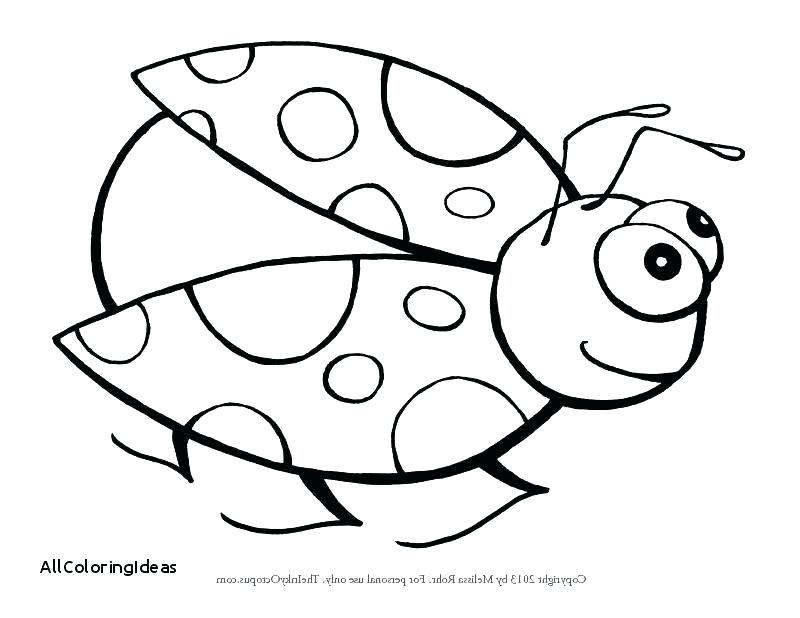 800x618 Cute Ladybug Coloring Pages