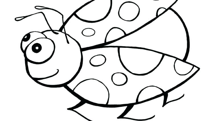 750x425 Lady Bug Coloring Pages
