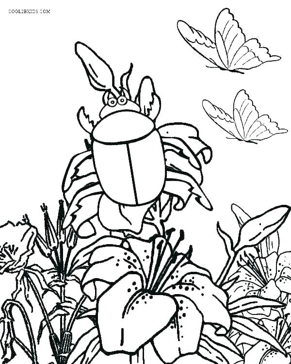 600x750 Bug Coloring Sheets Cute Insects Coloring Pages Kids Coloring