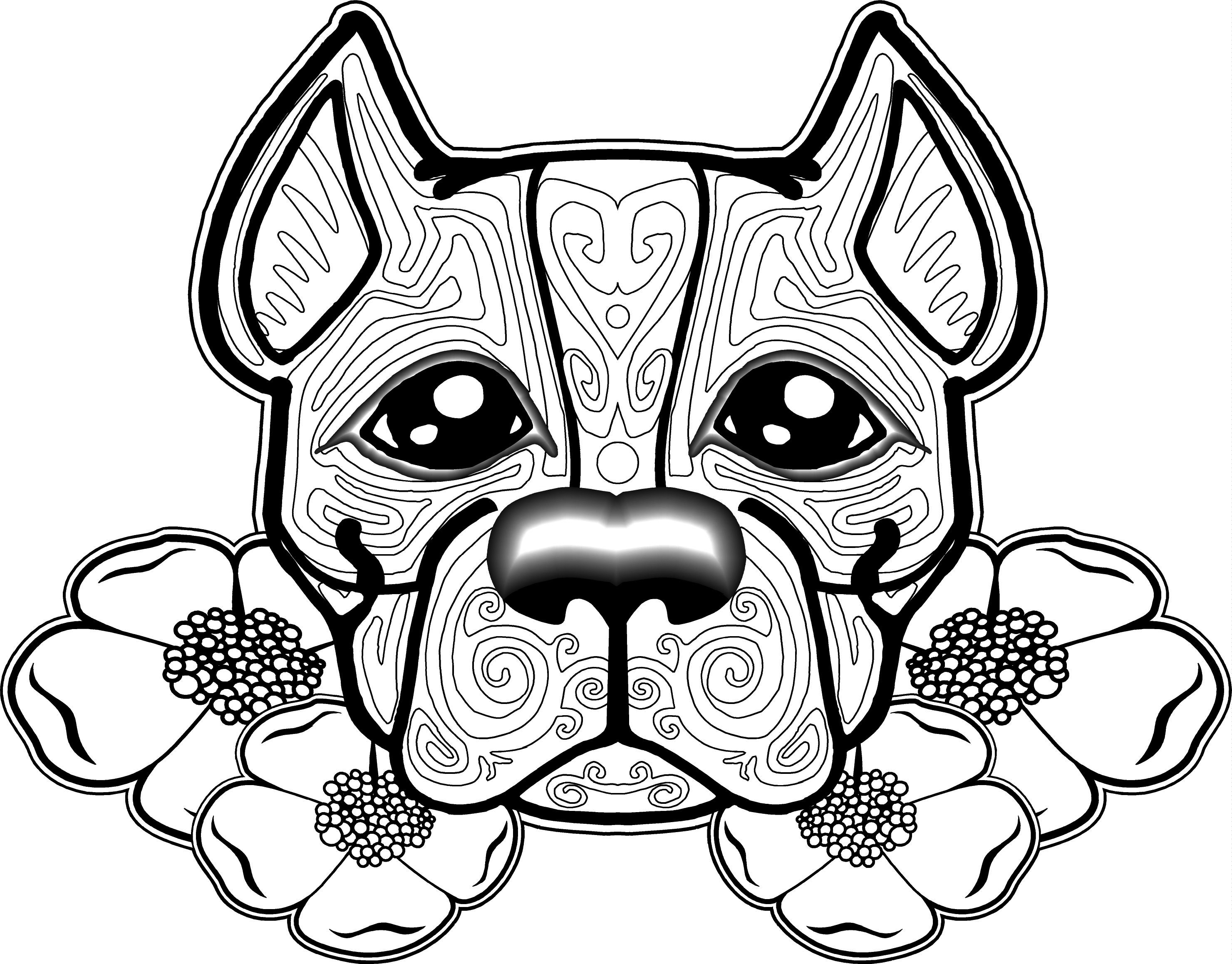 2961x2317 Cat And Dog Coloring Pages Printable Image