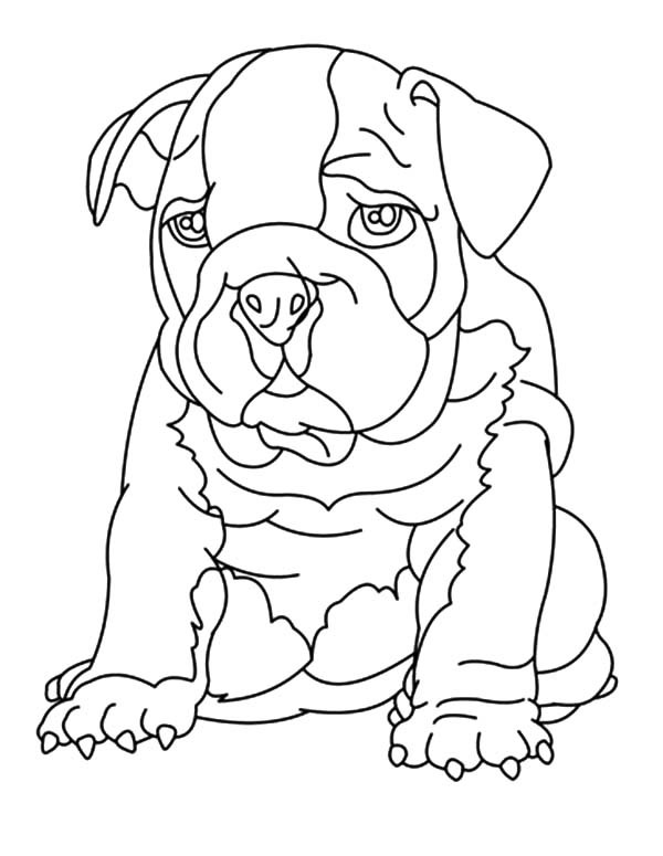 600x775 Drawing Bulldog Coloring Pages Best Place To Color