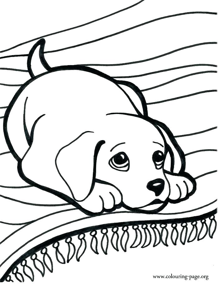 700x912 Free Dog Coloring Sheets Free Animal Coloring Free Rock Dog