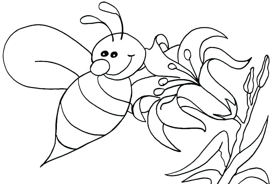 900x607 Honey Bee Coloring Pages With Honey Bee Coloring Pages Coloring