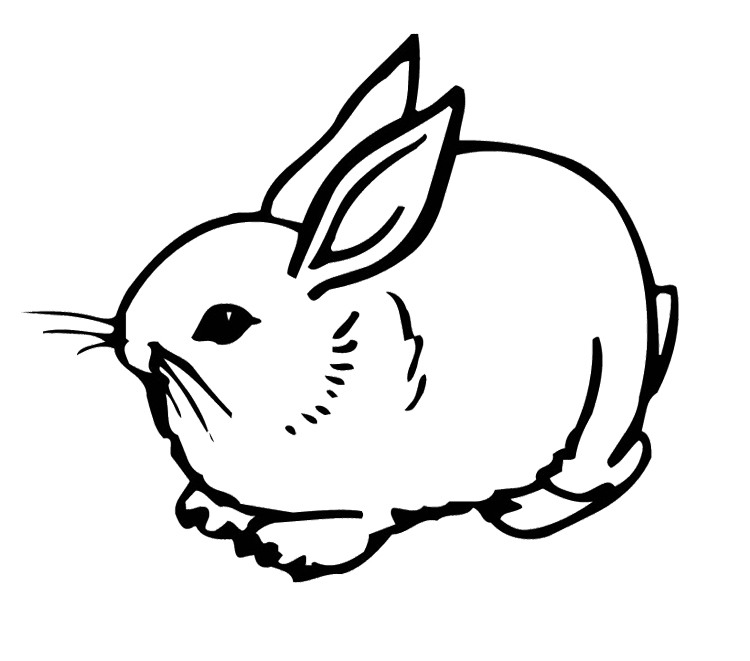 750x661 Cute Bunny Rabbit Coloring Page