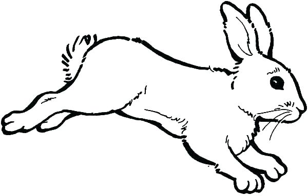 600x383 Coloring Page Rabbit