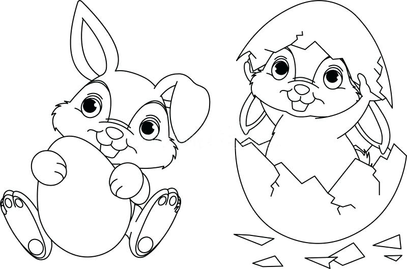 800x529 Bunny Coloring Page Girl Coloring Pages Baby Bunny Entertainment