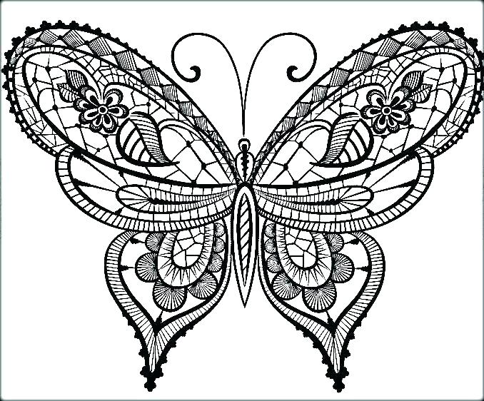 678x562 Cute Butterfly Coloring Pages Butterflies Coloring Page Coloring
