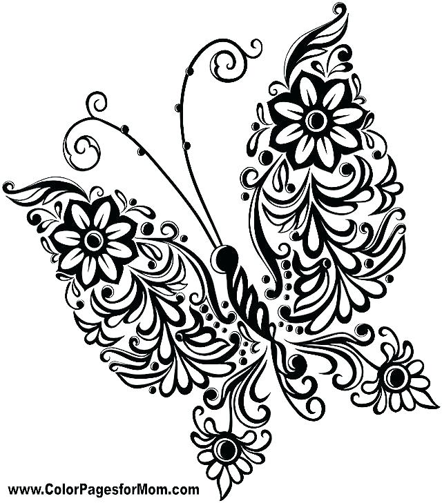 640x729 Cute Butterfly Coloring Pages Butterfly Coloring Sheets Page