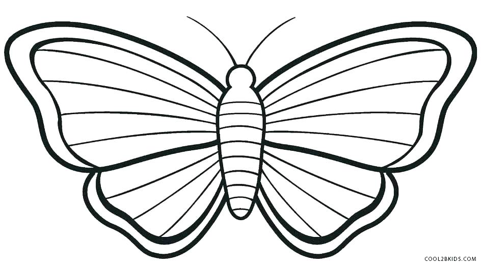 950x522 Cute Butterfly Coloring Pages Printable Butterfly Coloring Page