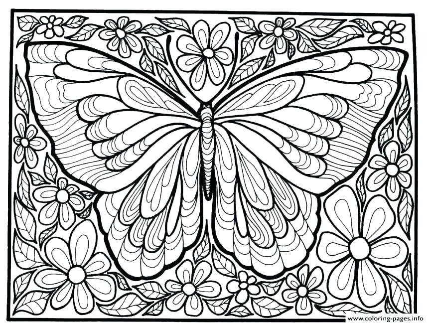 Cute Butterfly Coloring Pages at GetDrawings | Free download