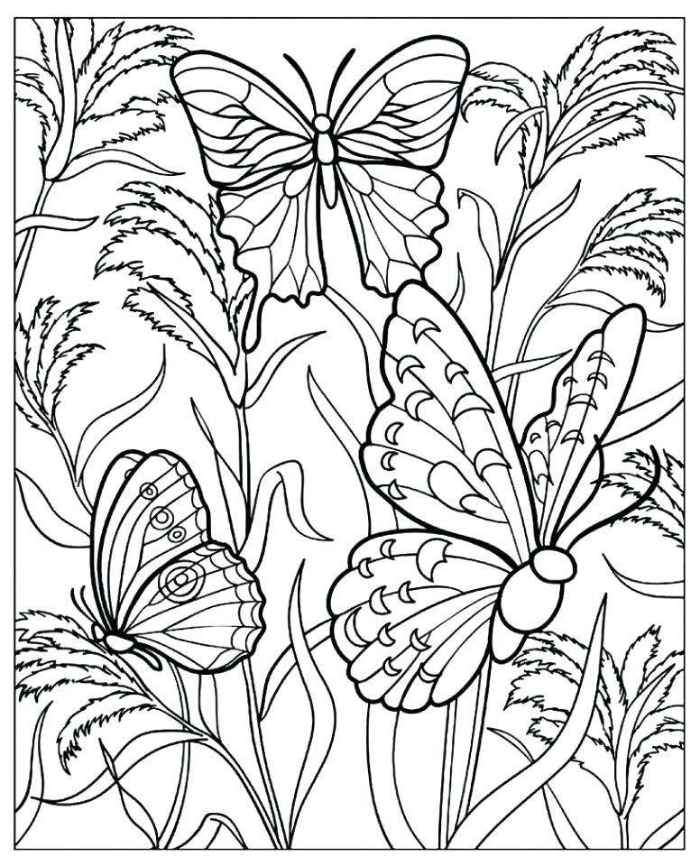 776x960 Butterfly Coloring Pages For Adults Printable