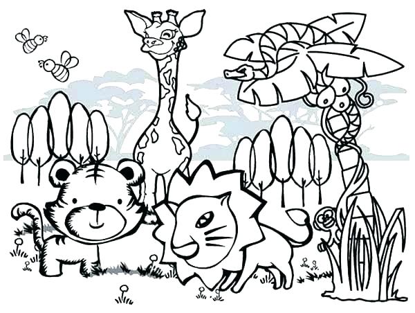 600x452 Jungle Animals Coloring Page Jungle Animal Coloring Sheets Jungle