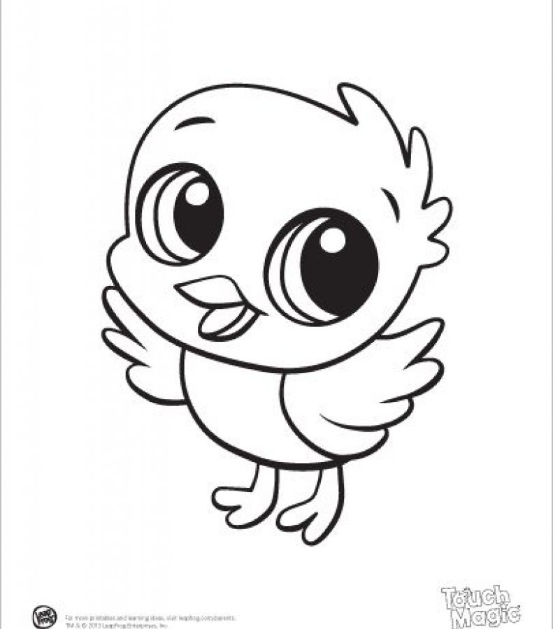 791x900 Babyls Coloring Pages Games Cute Farm Colouring Seal Free