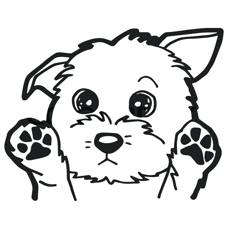 800x800 Cute Cartoon Coloring Pages Best Free Printable Puppy Coloring