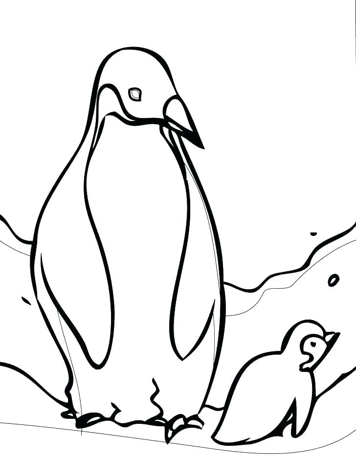 728x942 Penguin Printable Coloring Pages Printable Penguin Coloring Pages