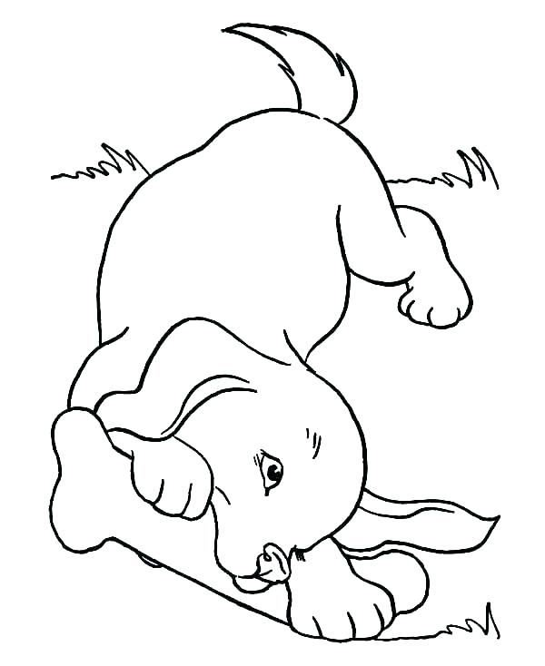600x734 Coloring Pages Of Cute Dogs And Puppies Devon Creamteas