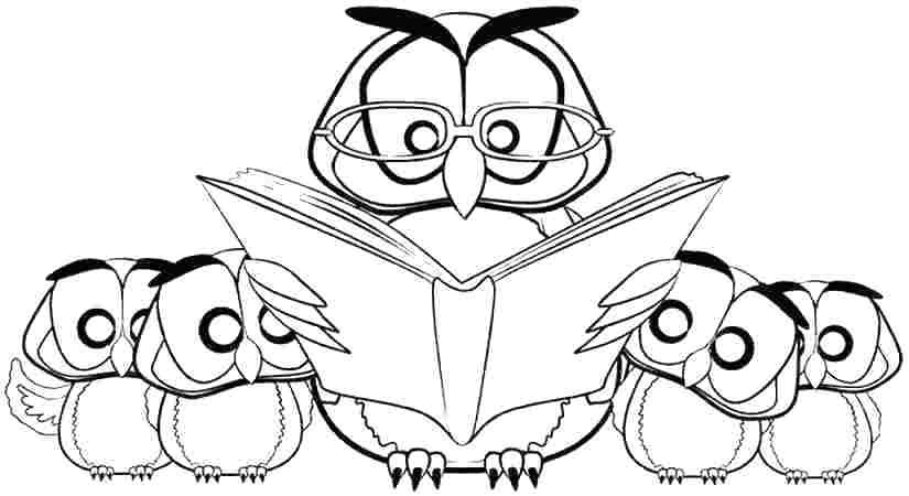 825x450 Free Printable Owl Coloring Pages Owl Color Page Free Printable