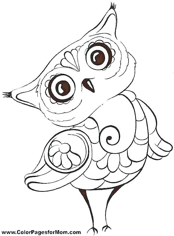 600x812 Owl Color Pages Trend Free Printable Owl Coloring Pages Image